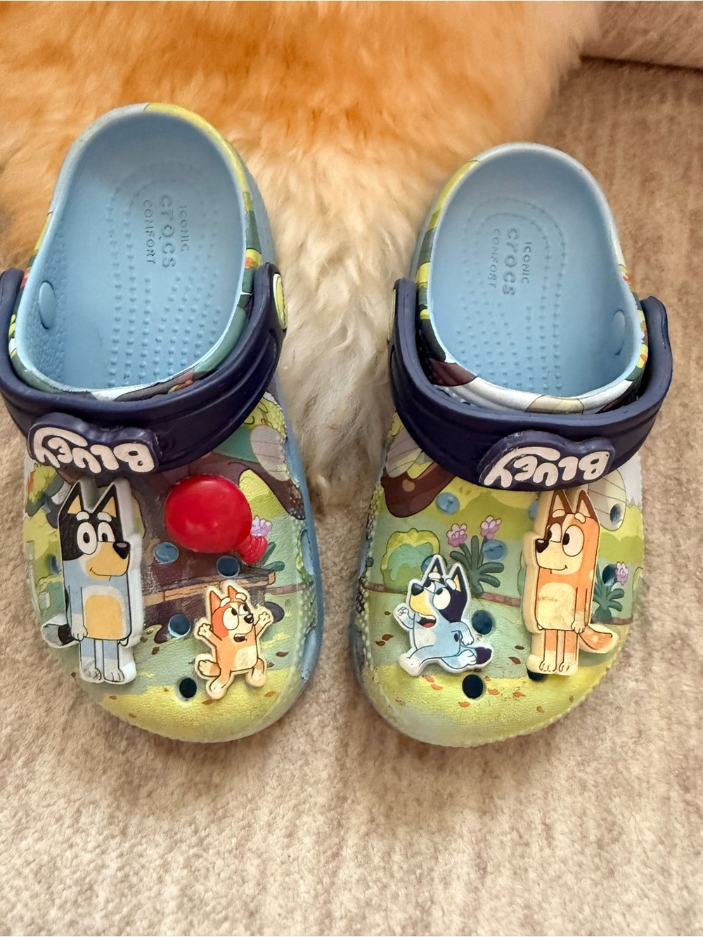 Bluey crocs - Picture 3 of 4